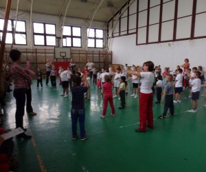 Ovi-suli sportverseny